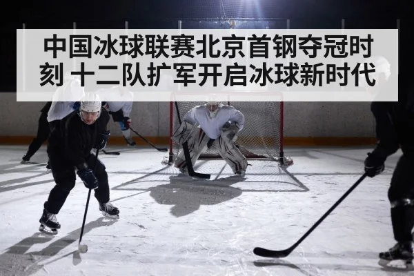 中国冰球联赛北京首钢夺冠时刻 十二队扩军开启冰球新时代